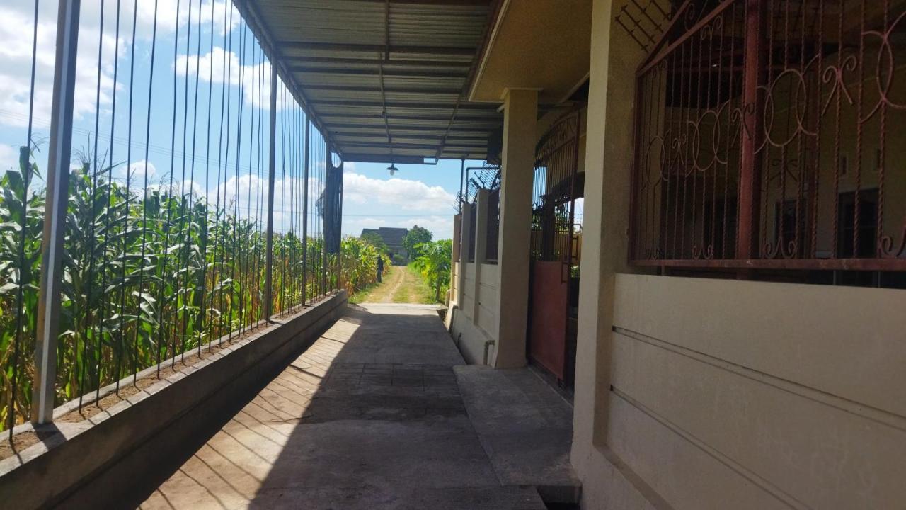 Bougenville Homestay Lembar  Eksteriør billede
