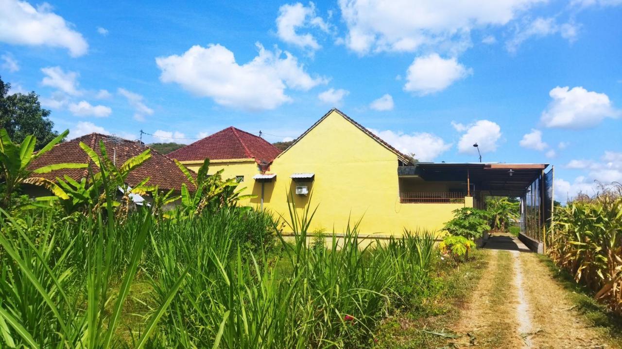 Bougenville Homestay Lembar  Eksteriør billede